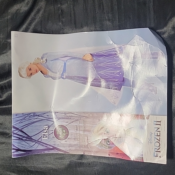 Disney Dresses & Skirts - Frozen 2 Elsa dress and wig, adult size S 2/4